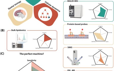 Single cell lipid biology