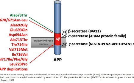  Early-Onset Familial Alzheimer's Disease