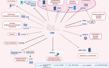Cannabidiol polypharmacology in neuropsychiatric disorders
