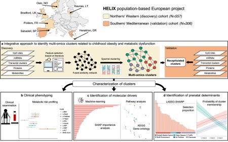 Multi-omics identifies risk factors of childhood obesity