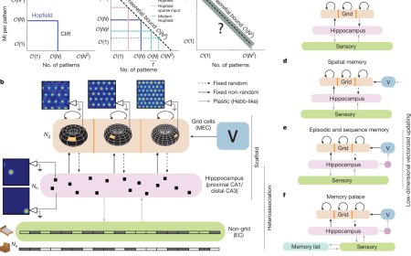 How one brain circuit encodes memories of both places and events
