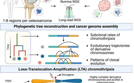 What drives aggressive bone cancer?
