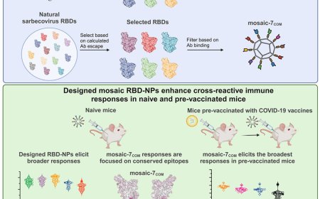 The nanoparticle-based vaccine against many variants of SARS-CoV-2