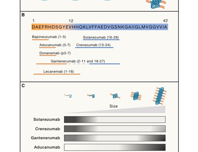 Alzheimer’s therapeutics