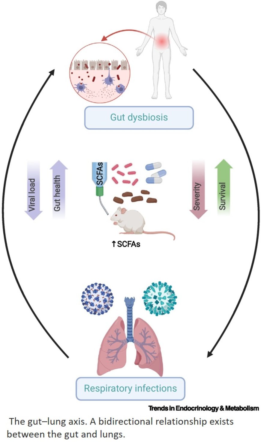 The gut–lung axis in respiratory health