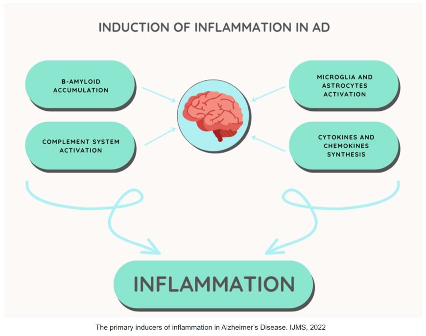 Neuroinflammation in Alzheimer’s disease