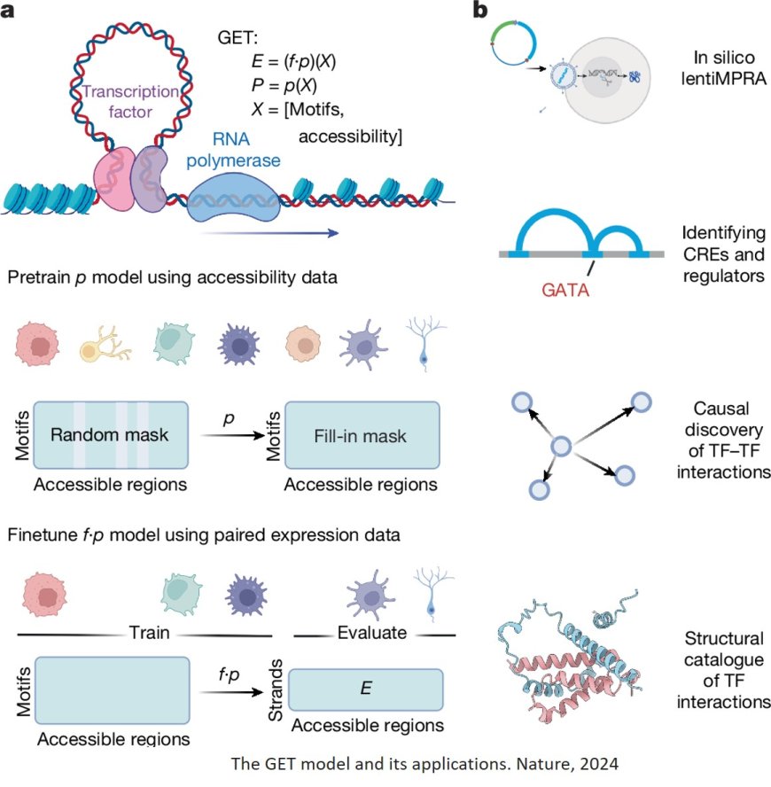 New AI method predicts gene expression in any cell