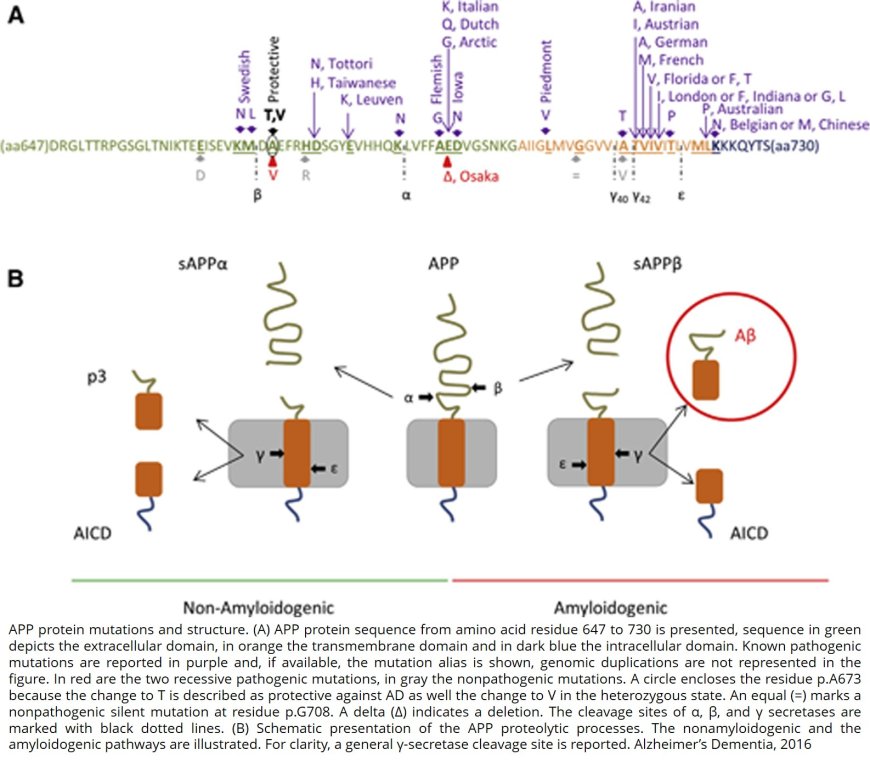 Genetics of Alzheimer’s disease