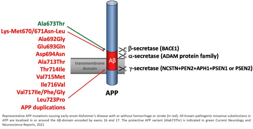 Early-Onset Alzheimer’s Disease