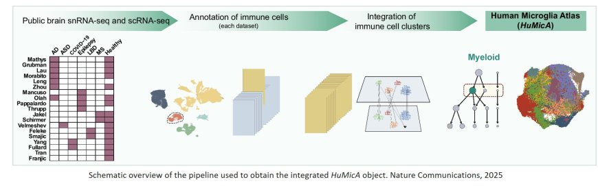 The Human Microglia Atlas (HuMicA) unravels changes in disease-associated microglia subsets across neurodegenerative conditions