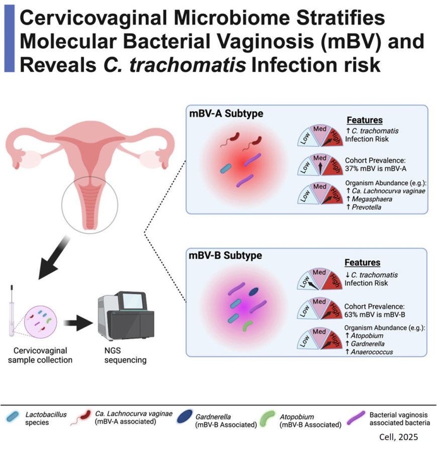 Cervicovaginal microbiome and natural history of Chlamydia trachomatis in adolescents and young women