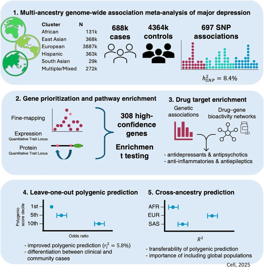 Genes for depression across ethnicities