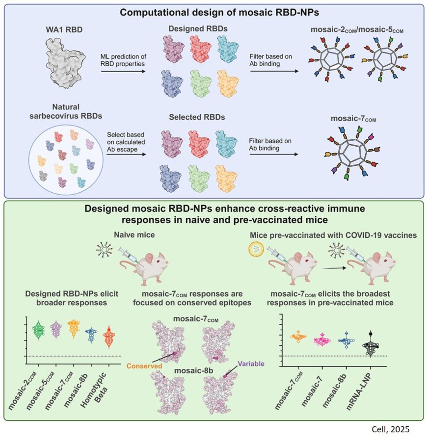 The nanoparticle-based vaccine against many variants of SARS-CoV-2