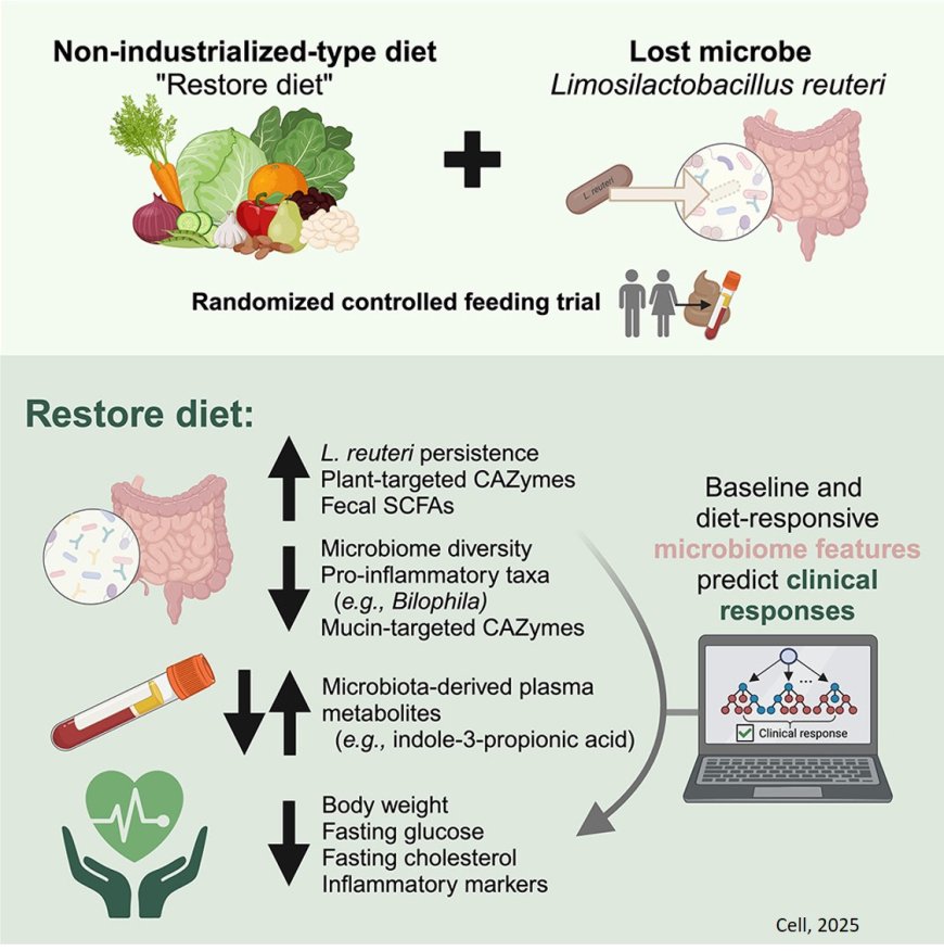 A ‘non-industrialized’ style diet can reduce risk of chronic disease