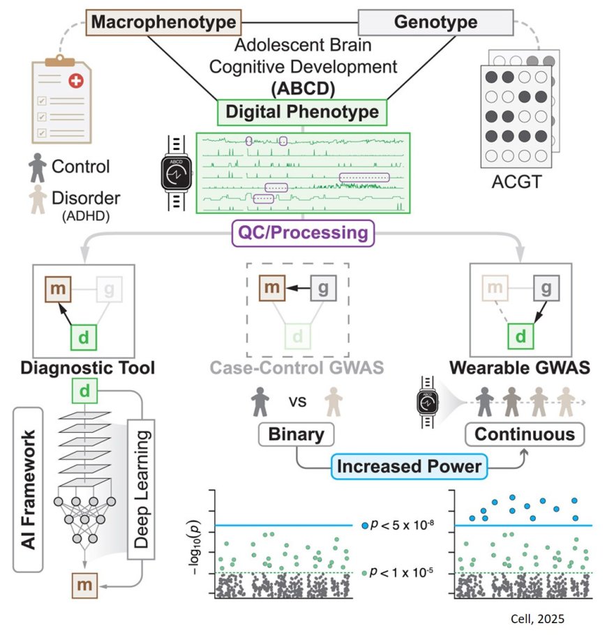 Digital phenotyping from wearables using AI characterizes psychiatric disorders and identifies genetic associations