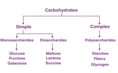 Carbohydrates