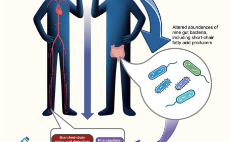Gut microbes link drinking sugary beverages and diabetes risk