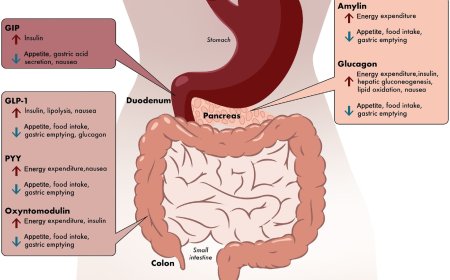 Treating metabolic diseases with microbes containing peptides