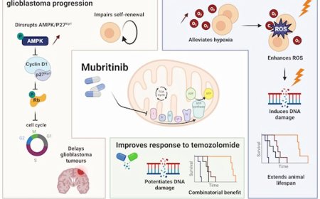A brain-penetrant drug exploits metabolic vulnerability in glioblastoma