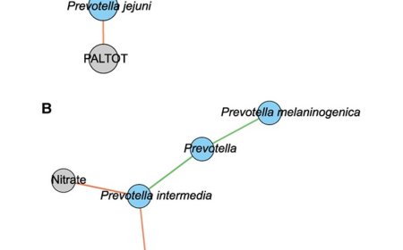 The oral microbiome and dementia