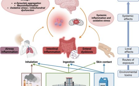 Environmental Risk Factors for Parkinson’s Disease