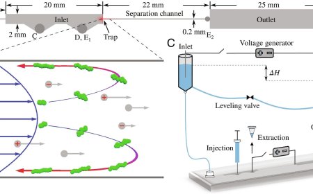 Microfluidic protocol to extract and purify DNA