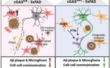 Microglial cGAS Deletion Alleviates Amyloid-β-Induced Pathogenesis of Alzheimer's Disease