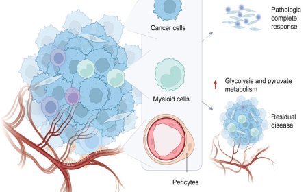 Effect of fasting-mimicking diet in triple-negative breast cancer patients