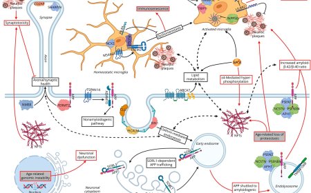 Genetic Risk in Alzheimer Disease