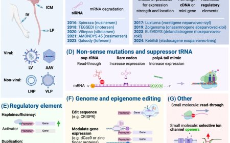 Gene therapies for neurogenetic disorders