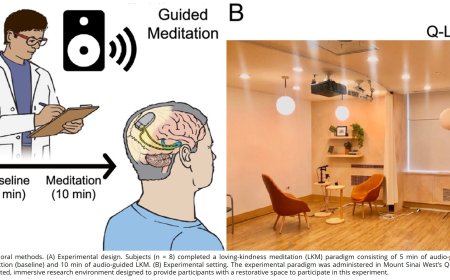 Intracranial substrates of meditation-induced neuromodulation in the amygdala and hippocampus