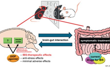 Opioid delta-receptor agonists alleviate stress-induced irritable bowel syndrome symptoms