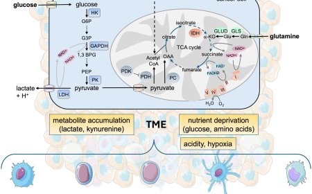 Tumor-induced metabolic immunosuppression