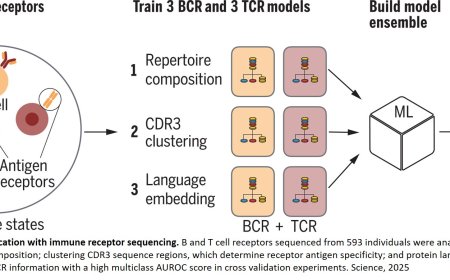 AI-assisted diagnosis for immunological disease