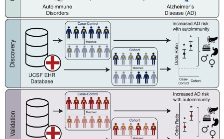 Exposure to autoimmune disorders is associated with increased Alzheimer’s disease risk