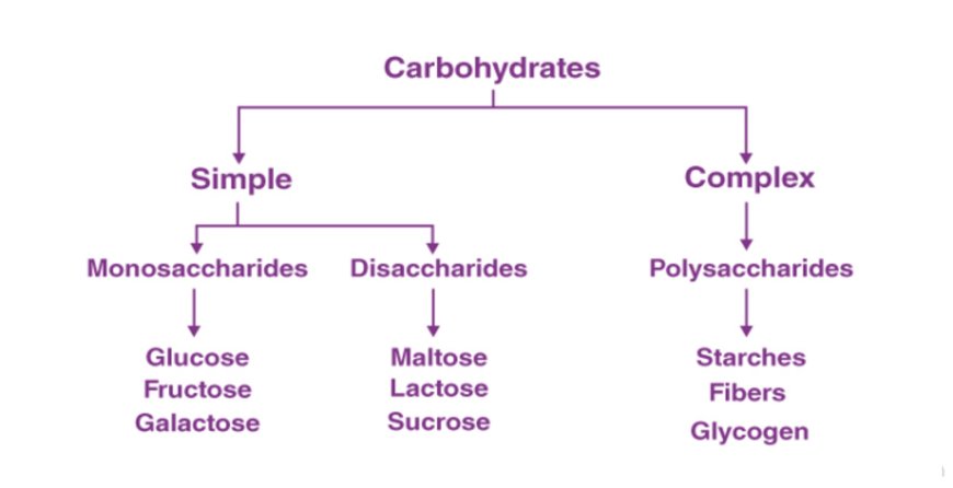 Carbohydrates