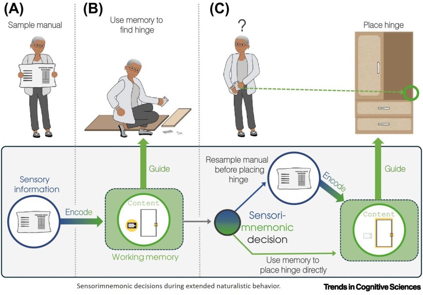 Sensorimnemonic decisions: choosing memories versus sensory information