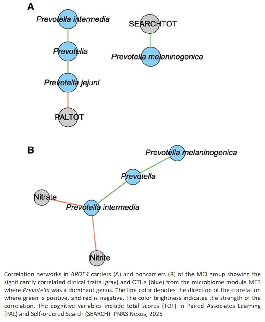 Oral microbiome and nitric oxide biomarkers in older people with mild cognitive impairment and APOE4 genotype