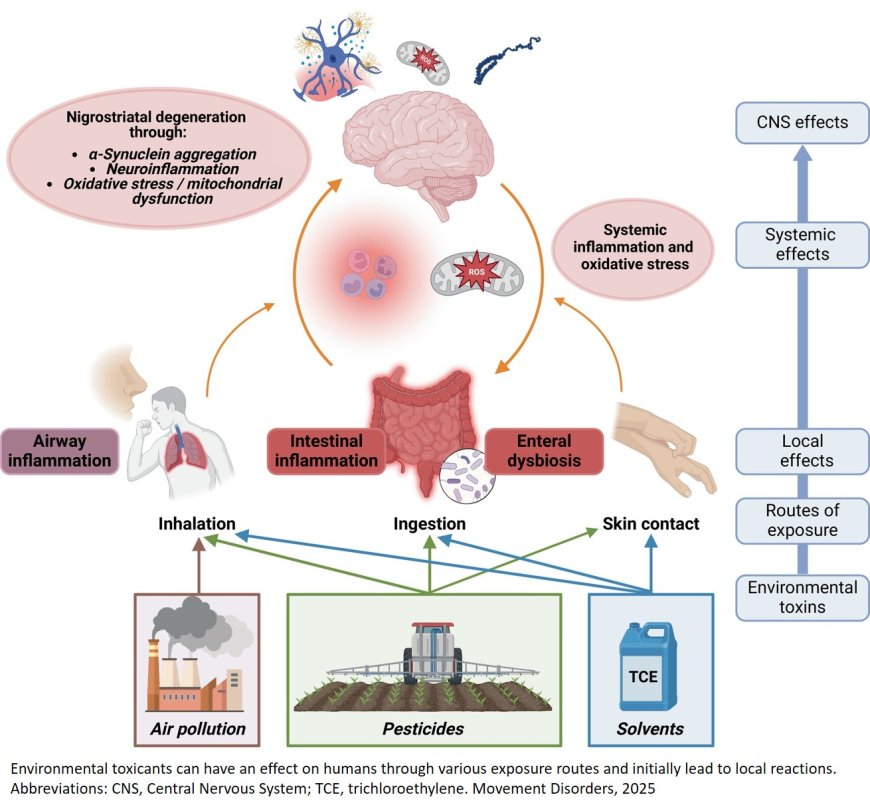 Environmental Risk Factors for Parkinson’s Disease: A Critical  Review and Policy Implications