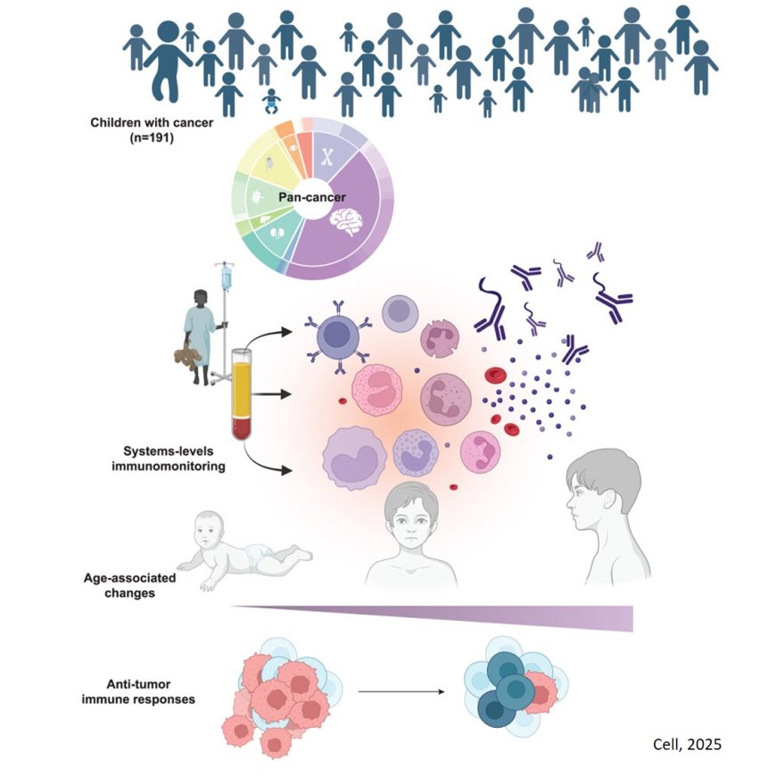 Tailoring immunotherapies for childhood cancers