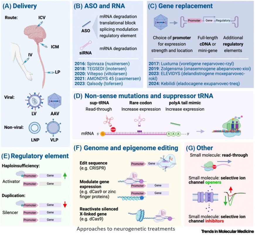 Gene therapies for neurogenetic disorders