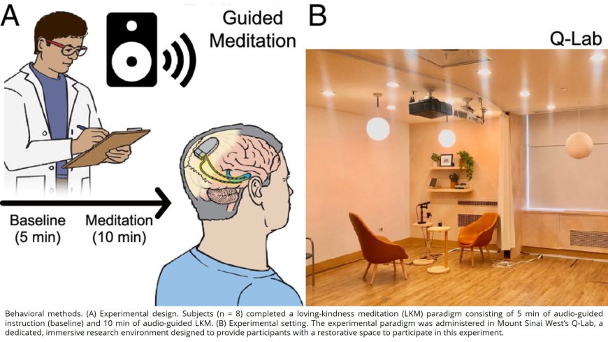 Intracranial substrates of meditation-induced neuromodulation in the amygdala and hippocampus