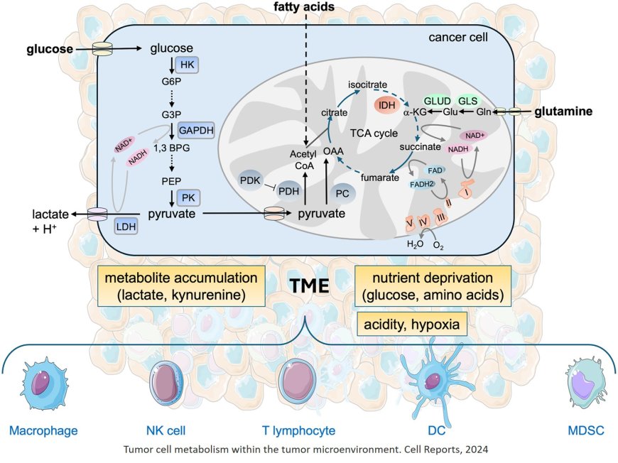 Tumor-induced metabolic immunosuppression