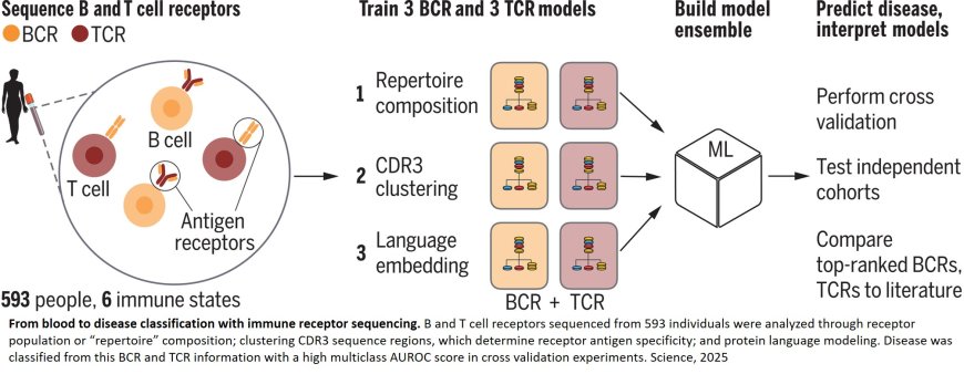 AI-assisted diagnosis for immunological disease