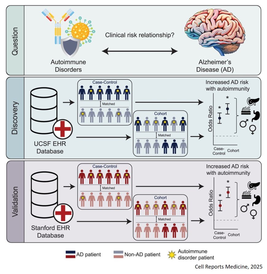 Exposure to autoimmune disorders is associated  with increased Alzheimer’s disease risk in a multi- site electronic health record analysis