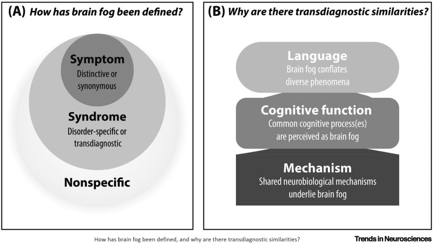 Defining brain fog across medical conditions