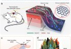 Laser-made, ultra-thin material for tracking of healing wounds