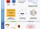 ITSN1 gene linked to substantial risk of Parkinson’s disease