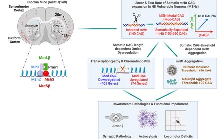 Major role for DNA repair genes in Huntington's disease