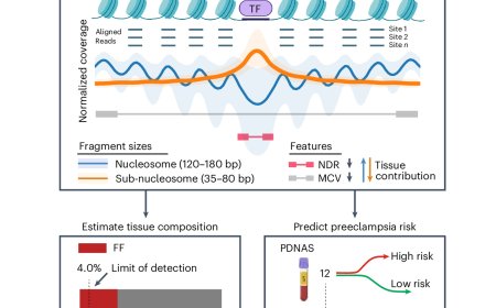 Cell-free DNA shed from the placenta during pregnancy predicts preeclampsia